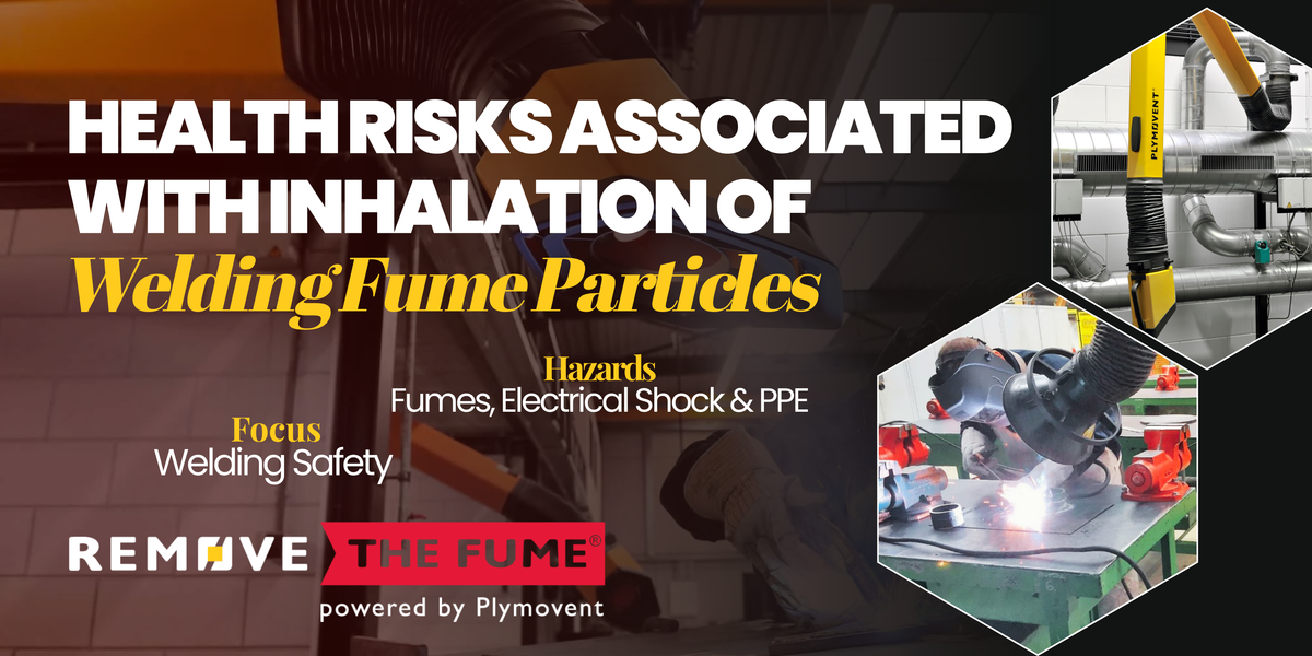 Health risks associated with inhalation of fume particles