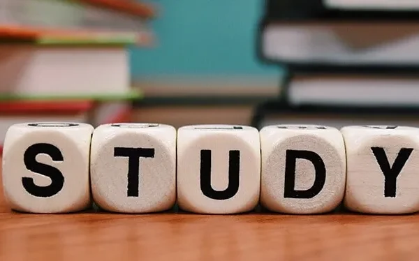 Dice spelling out the word study