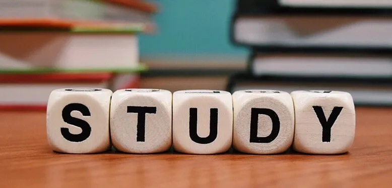 Dice spelling out the word study