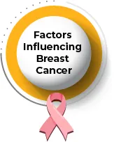 factors influencing breast cancer Factors influencing breast cancer