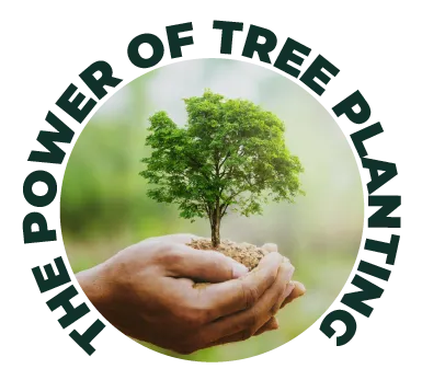 a circular image of someone holding a plant in their hand with the text "THE POWER OF TREE PLANTING"