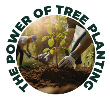 A circular image of people planting trees with the text "THE SIGNIFICANCE OF TREE PLANTNG" around it